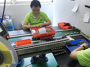 擺轉(zhuǎn)子、看外觀